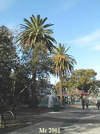 Manly Promenade