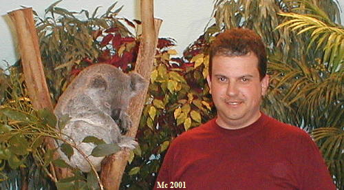 Mr. Mang und sein Koala-Baer