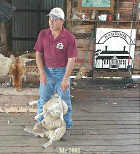 Warrook Cattle Farm